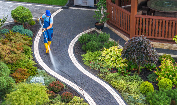 Best Pressure Washing Patio  in New Rochelle, NY